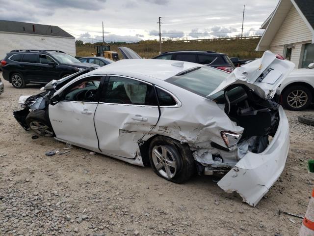 1G1ZD5ST2RF113631 - 2024 CHEVROLET MALIBU LT 白色 照片 2