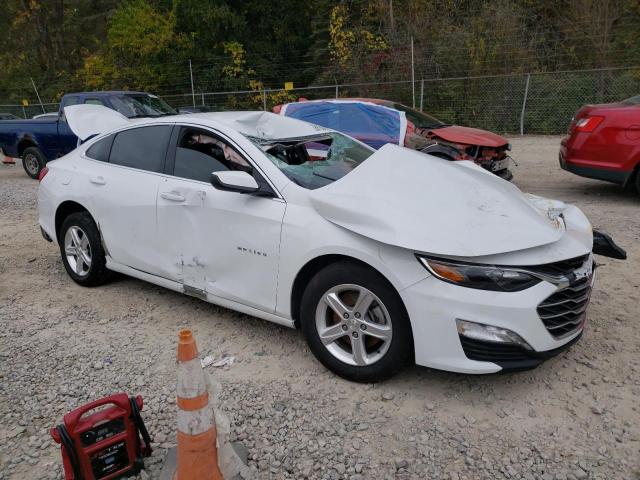 1G1ZD5ST2RF113631 - 2024 CHEVROLET MALIBU LT 白色 照片 4