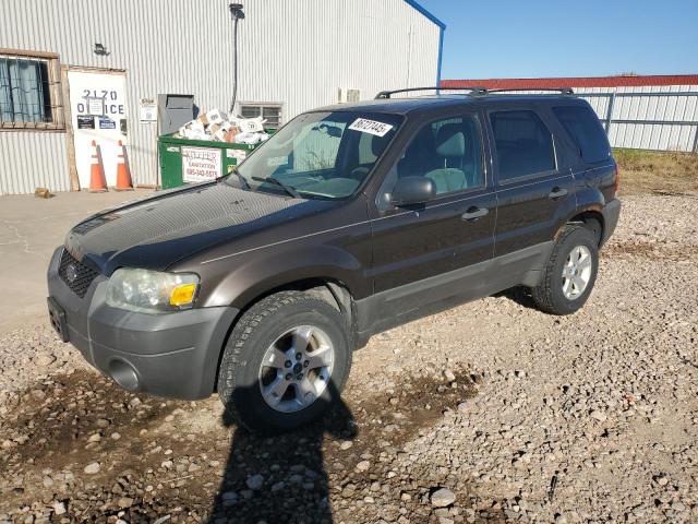 2007 FORD ESCAPE XLT, 