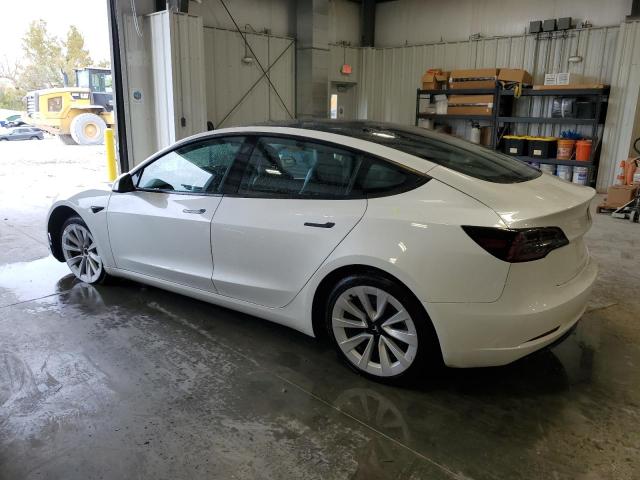 5YJ3E1EA8PF450240 - 2023 TESLA MODEL 3 თეთრი ფოტო 2