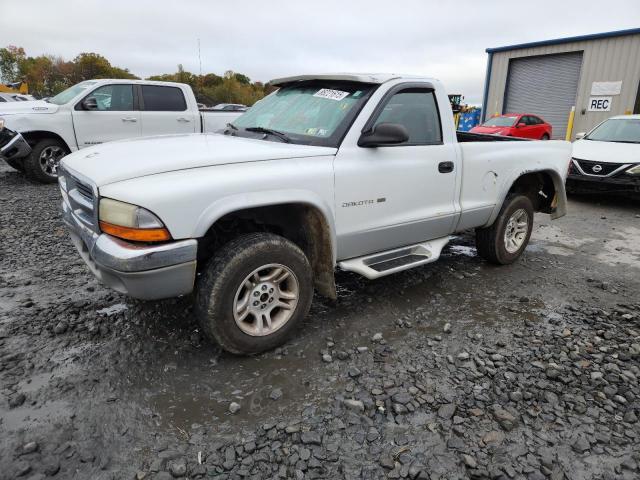 1B7GG26X31S234049 - 2001 DODGE DAKOTA თეთრი ფოტო 2