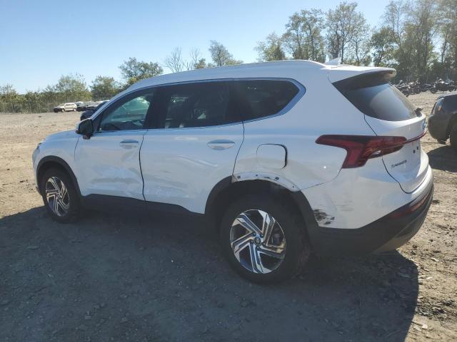 5NMS2DAJ9PH609342 - 2023 HYUNDAI SANTA FE SEL Blanco foto 2
