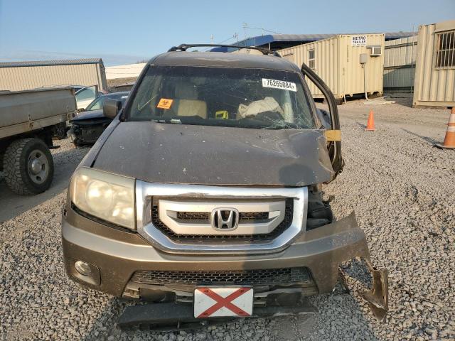 5FNYF3H55BB022020 - 2011 HONDA PILOT EXL GOLD photo 5