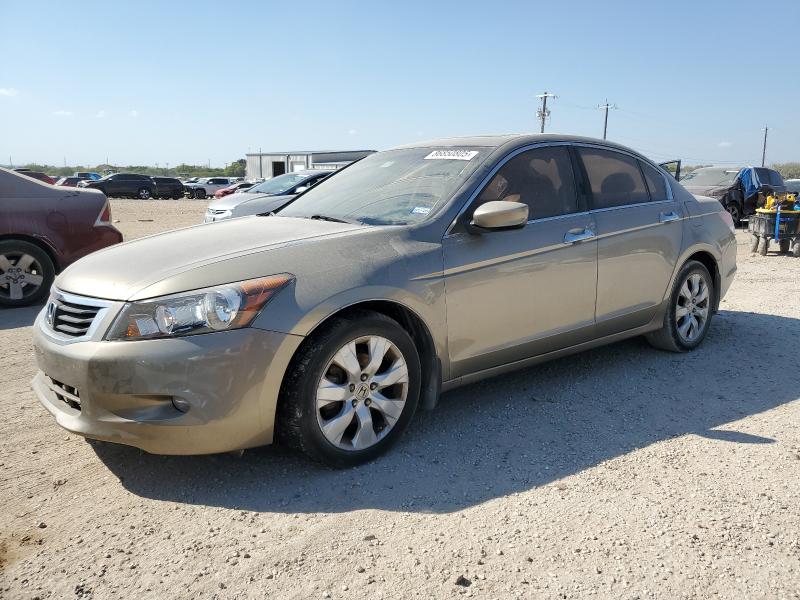 2010 HONDA ACCORD EXL, 
