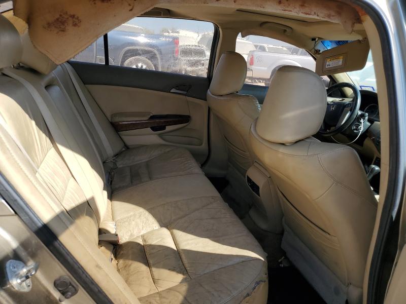 5KBCP3F8XAB005508 - 2010 HONDA ACCORD EXL BEIGE photo 10