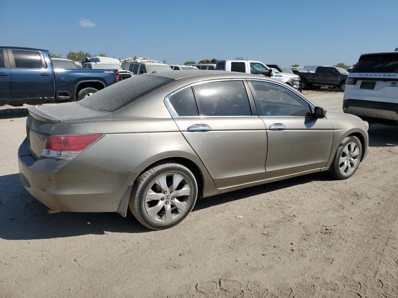 5KBCP3F8XAB005508 - 2010 HONDA ACCORD EXL BEIGE photo 3