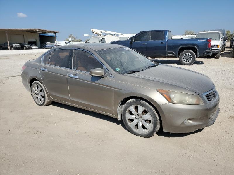 5KBCP3F8XAB005508 - 2010 HONDA ACCORD EXL BEIGE photo 4