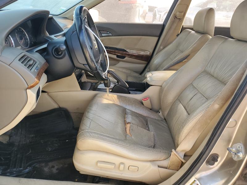 5KBCP3F8XAB005508 - 2010 HONDA ACCORD EXL BEIGE photo 7