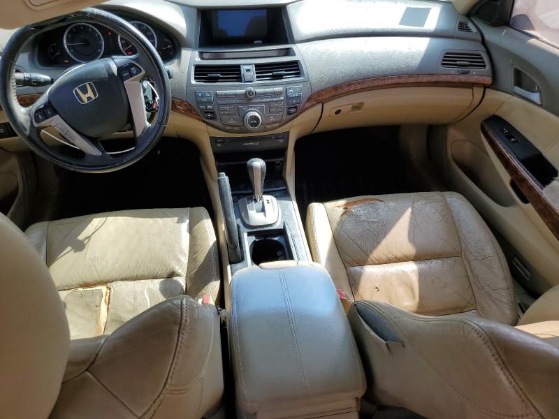 5KBCP3F8XAB005508 - 2010 HONDA ACCORD EXL BEIGE photo 8