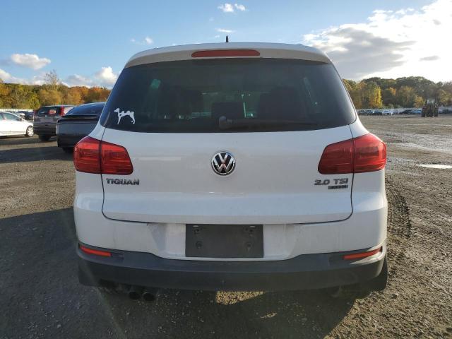 WVGBV3AXXDW611546 - 2013 VOLKSWAGEN TIGUAN S თეთრი ფოტო 6