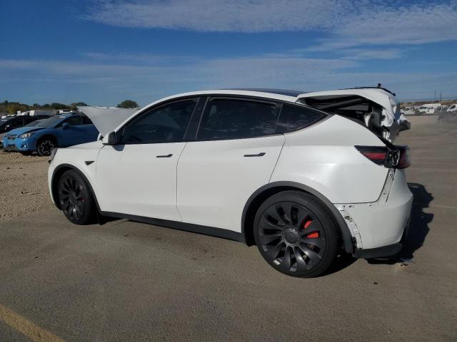 7SAYGDEF2RF027236 - 2024 TESLA MODEL Y WHITE photo 2