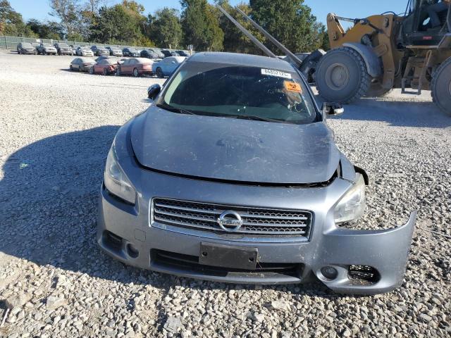 1N4AA5AP1AC811693 - 2010 NISSAN MAXIMA S BLUE photo 5