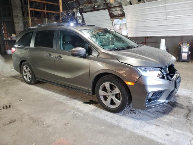 5FNRL6H7XLB058917 - 2020 HONDA ODYSSEY EXL BROWN photo 4