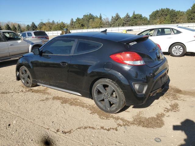 KMHTC6AE7DU145306 - 2013 HYUNDAI VELOSTER TURBO Qara foto 2