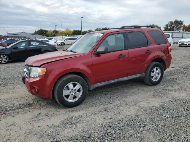 2009 FORD ESCAPE XLT, 