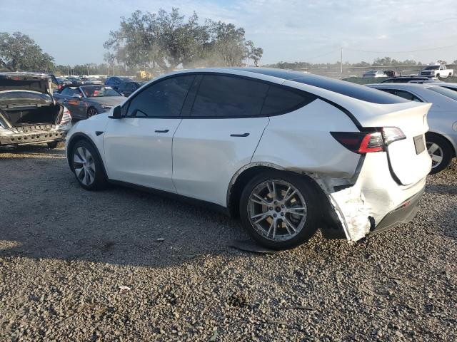 5YJYGDEE2MF075140 - 2021 TESLA MODEL Y Ağ foto 2