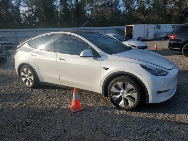 5YJYGDEE2MF075140 - 2021 TESLA MODEL Y Ağ foto 4