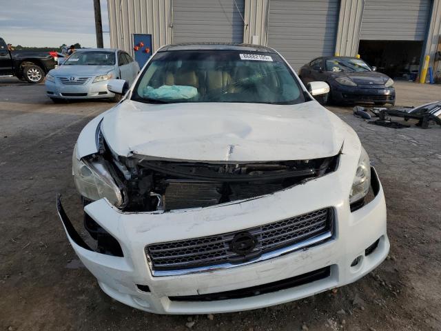 1N4AA5AP7BC841296 - 2011 NISSAN MAXIMA S თეთრი ფოტო 5