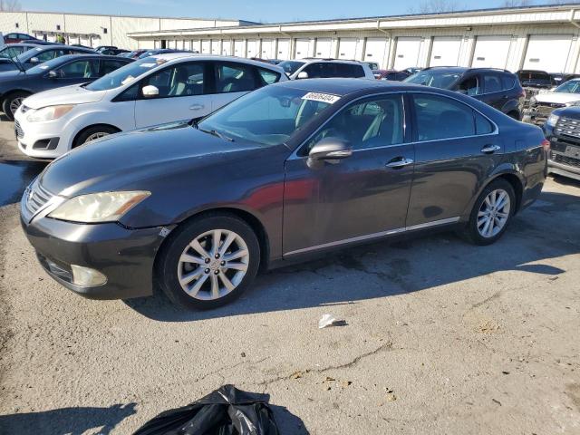 2010 LEXUS ES 350, 