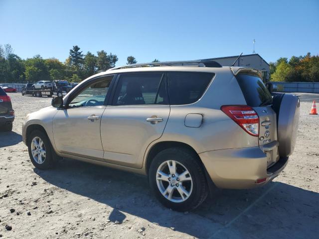 2T3BF4DV2BW158360 - 2011 TOYOTA RAV4 金色 照片 2