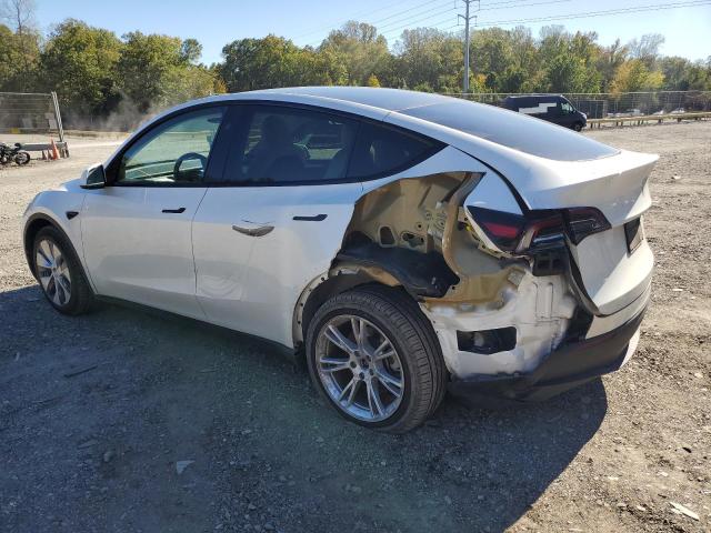 7SAYGDEE5PF828831 - 2023 TESLA MODEL Y WHITE photo 2