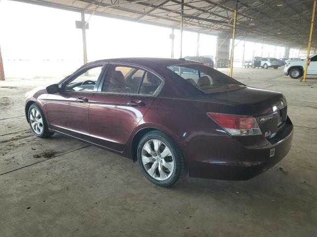 JHMCP26838C010810 - 2008 HONDA ACCORD EXL BURGUNDY photo 2