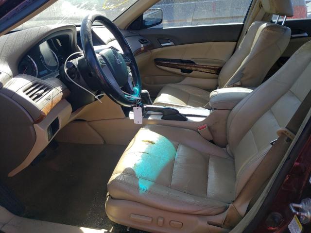 JHMCP26838C010810 - 2008 HONDA ACCORD EXL BURGUNDY photo 7