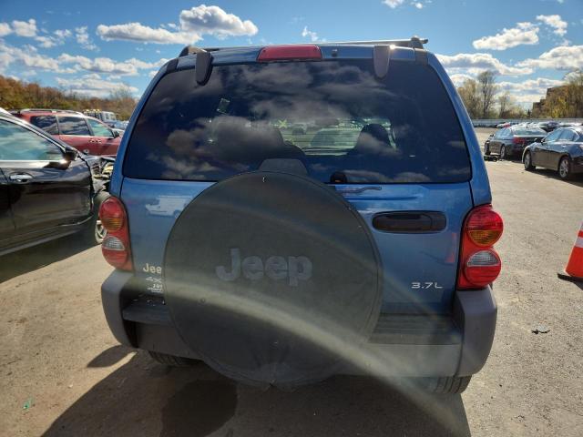 1J4GL48K04W221114 - 2004 JEEP LIBERTY SPORT BLUE photo 6