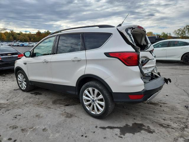 1FMCU9HD6KUA37946 - 2019 FORD ESCAPE SEL Ağ foto 2