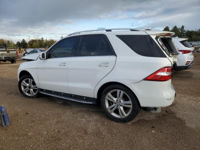 4JGDA5HB4EA404093 - 2014 MERCEDES-BENZ ML 350 4MATIC WHITE photo 2