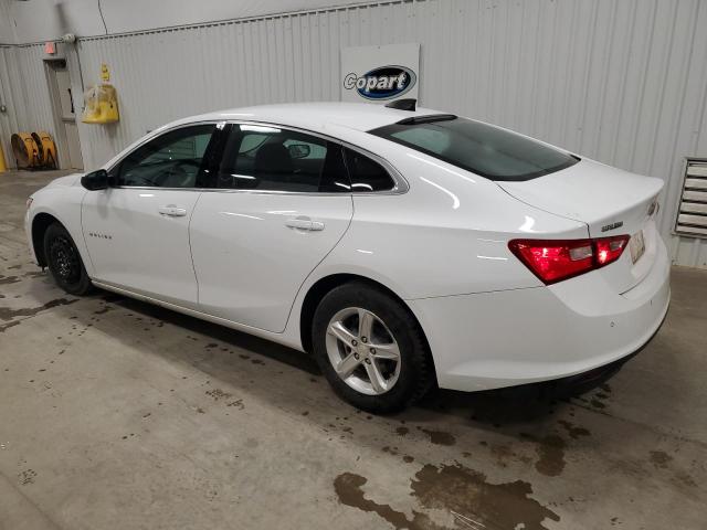 1G1ZC5ST3PF151949 - 2023 CHEVROLET MALIBU LS Ağ foto 2