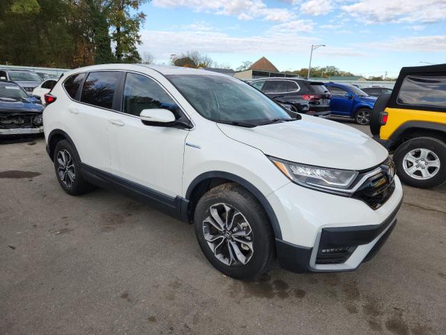 7FART6H58LE008956 - 2020 HONDA CR-V EX Ağ foto 4