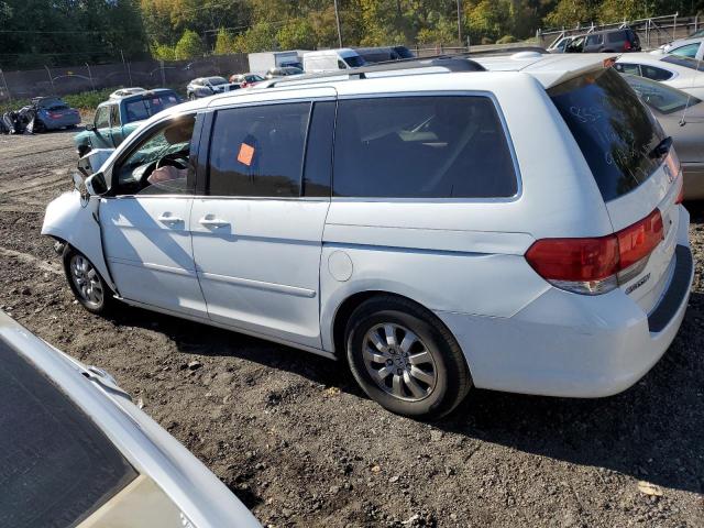5FNRL38668B416320 - 2008 HONDA ODYSSEY EXL WHITE photo 2