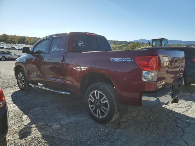 5TBBT54127S451043 - 2007 TOYOTA TUNDRA DOUBLE CAB SR5 BURGUNDY photo 2