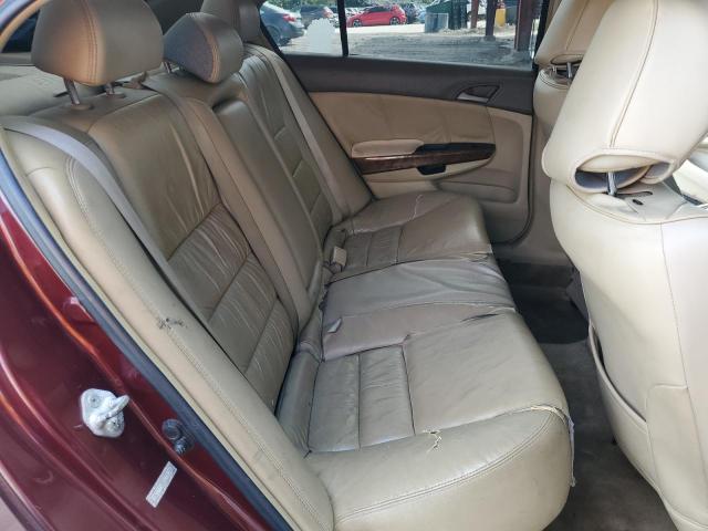 1HGCP26858A114679 - 2008 HONDA ACCORD EXL 黑色 照片 10