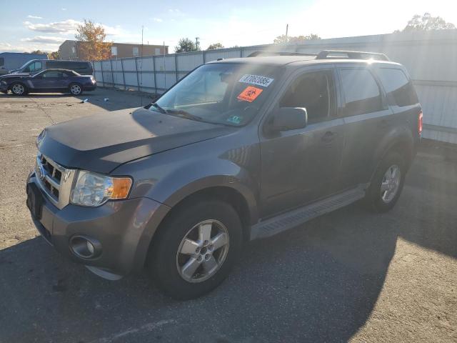 2010 FORD ESCAPE XLT, 