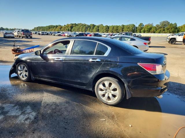 1HGCP368X9A006713 - 2009 HONDA ACCORD EXL BLACK photo 2