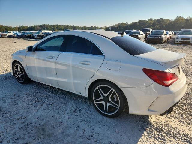 WDDSJ4EB9EN119494 - 2014 MERCEDES-BENZ CLA 250 Ağ foto 2