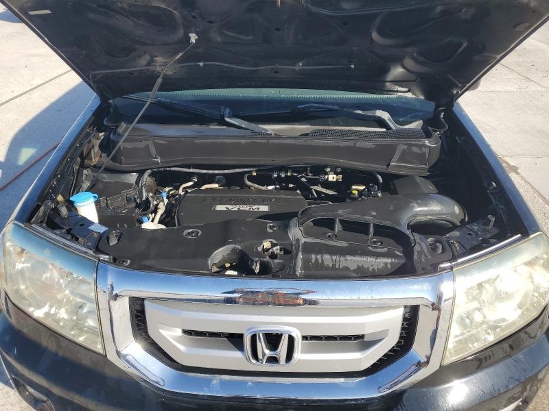 5FNYF38549B019667 - 2009 HONDA PILOT EXL შავი ფოტო 12