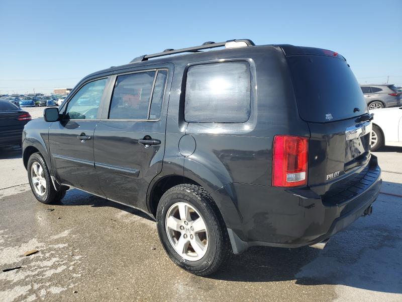 5FNYF38549B019667 - 2009 HONDA PILOT EXL შავი ფოტო 2