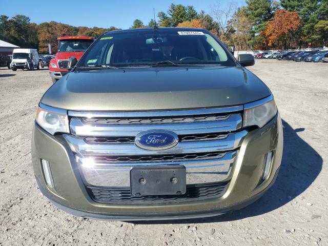 2FMDK4JC6DBA84952 - 2013 FORD EDGE SEL 绿色 照片 5