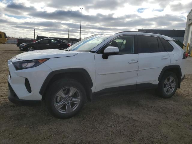 2023 TOYOTA RAV4 LE, 