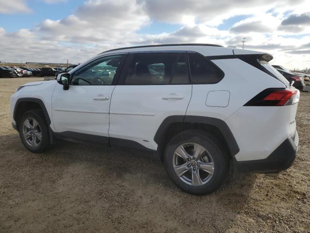 2T3BWRFV0PW168239 - 2023 TOYOTA RAV4 LE WHITE photo 2