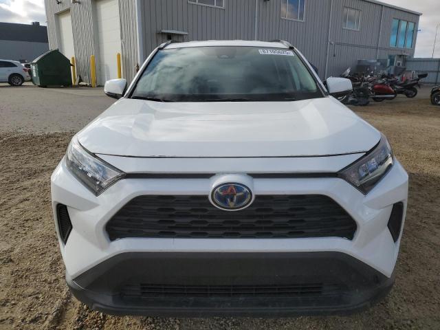 2T3BWRFV0PW168239 - 2023 TOYOTA RAV4 LE WHITE photo 5