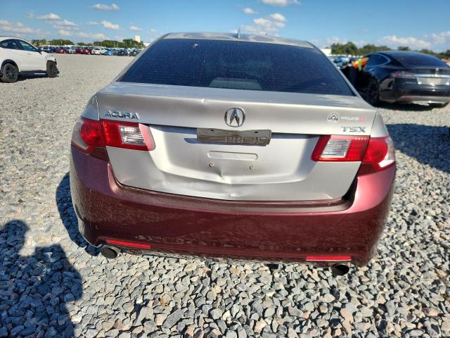 JH4CU2F67AC001282 - 2010 ACURA TSX SILVER photo 6