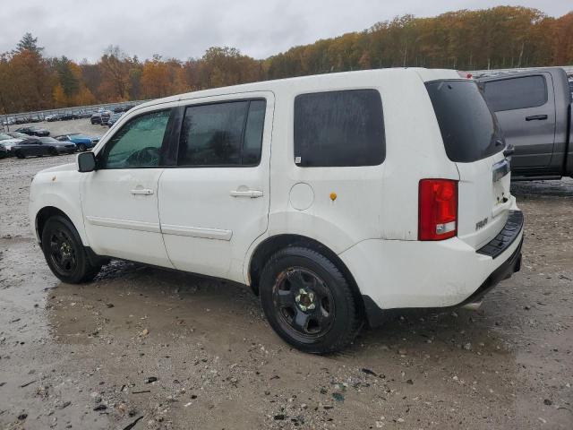 5FNYF4H56EB056395 - 2014 HONDA PILOT EXL 白色 照片 2