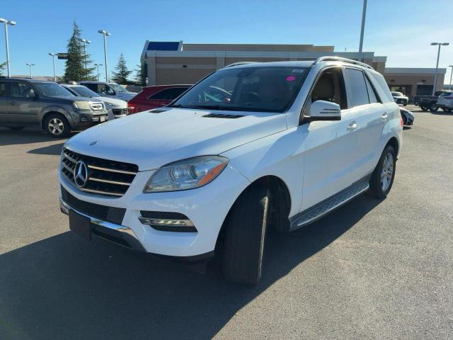 4JGDA5JB3FA559214 - 2015 MERCEDES-BENZ ML 350 თეთრი ფოტო 2