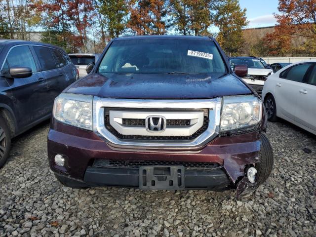 5FNYF4H4XBB013312 - 2011 HONDA PILOT EX RED photo 5