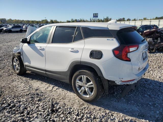 3GKALMEG4RL398889 - 2024 GMC TERRAIN SLE WHITE photo 2