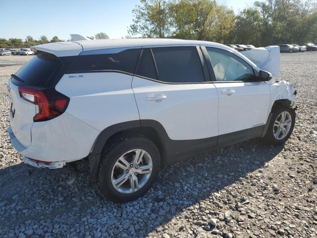 3GKALMEG4RL398889 - 2024 GMC TERRAIN SLE WHITE photo 3